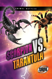 Scorpion vs. Tarantula