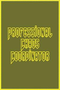 Professional Chaos Coordinator