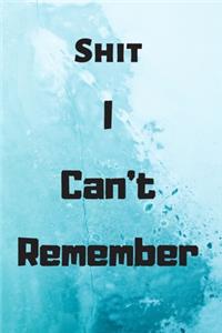 Shit I Can't Remember
