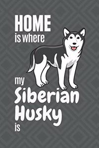 Home is where my Siberian Husky is