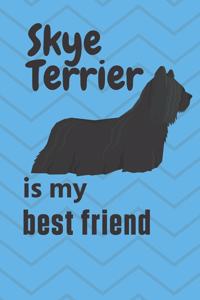 Skye Terrier is my best friend