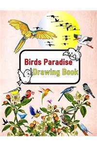 Birds Paradise Drawing Book