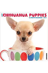 Just Chihuahua Puppies 2017 Wall Calendar