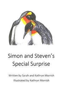 Simon and Steven's Special Surprise