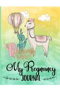 My Pregnancy Journal