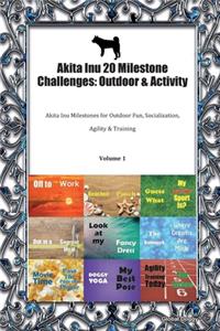 Akita Inu 20 Milestone Challenges