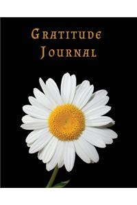 Gratitude Journal