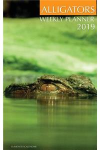 Alligators Weekly Planner 2019