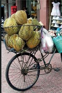 Jackfruit Tree