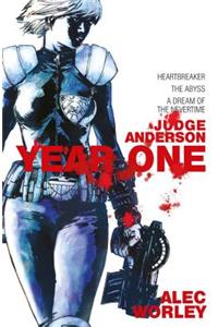 Judge Anderson: Year One