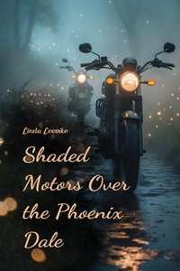 Shaded Motors Over the Phoenix Dale