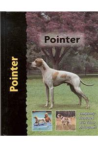 Pointer