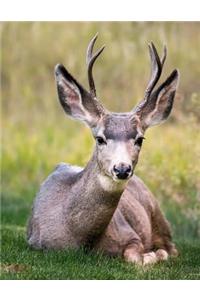 Wild Deer Notebook