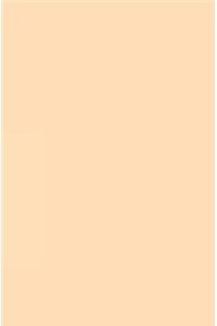 Sketchbook Orange: Sketchbook 5.25 X 8, Sketchbook 200 Pages: Sketchbook No Lines, Sketchbook 200 Pages, Sketchbook Journal, Sketchbook for Drawing, Sketchbook Notebook