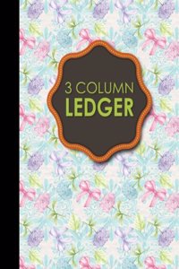 3 Column Ledger