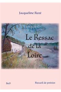 Le ressac de la loire