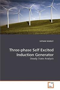 Three-phase Self Excited Induction Generator
