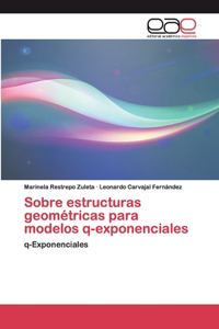 Sobre estructuras geométricas para modelos q-exponenciales