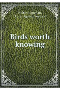 Birds Worth Knowing