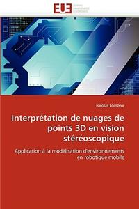 Interpretation de Nuages de Points 3D En Vision Stereoscopique