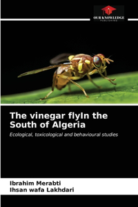 vinegar flyIn the South of Algeria