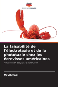 La faisabilité de l'électrotaxie et de la phototaxie chez les écrevisses américaines