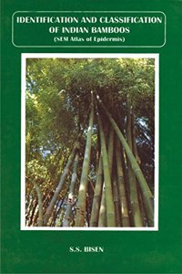 Identification and Classification of Indian Bamboos SEM Atlas of Epidermis