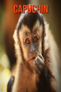 Capuchin