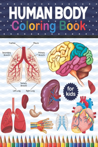 Human Body Coloring Book For Kids