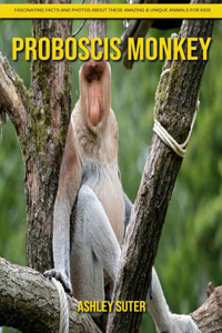 Proboscis Monkey