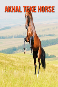 Akhal Teke Horse