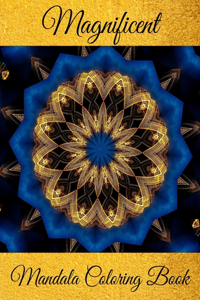 Magnificent Mandala Coloring Book
