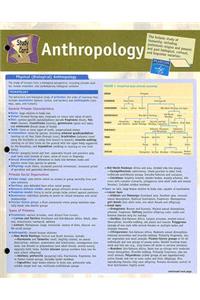 Anthropology Study Card