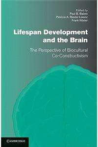 Lifespan Development and the Brain