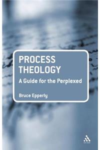 Process Theology: A Guide for the Perplexed