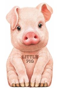 Little Pig