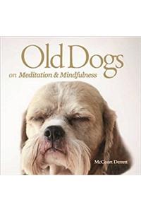 Old Dogs on Meditation and Mindfulness