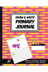 Draw & Write Primary Journal