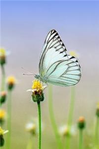 Butterfly Journal