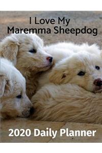 I Love My Maremma Sheepdog