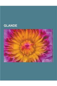 Glande: Cellule Secretrice, Systeme Exocrine, Thyroide, Foie, Sperme, Glande Surrenale, Bile, Glande Pineale, Thymus, Larme, P