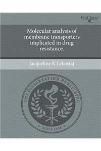 Molecular Analysis of Membrane Transporters Implicated in Drug Resistance.