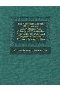 The Vegetable Garden