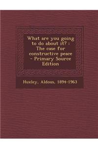 What Are You Going to Do about It?: The Case for Constructive Peace