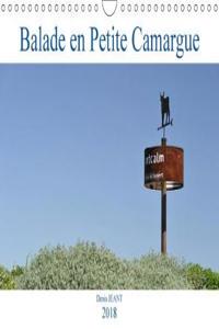 Balade En Petite Camargue 2018