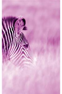 Alive! zebra stripes - Magenta duotone - Photo Art Notebooks (5 x 8 series)