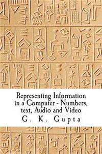 Representing Information in a Computer