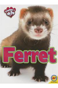 Caring for My Pet Ferret