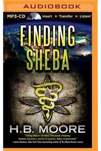 Finding Sheba