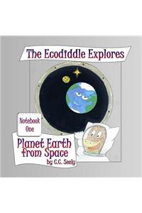 The Ecodiddle Explores Planet Earth from Space